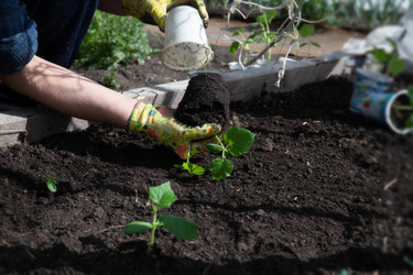 Similar image 22285492