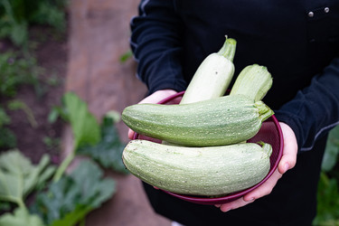 Similar image 22284782