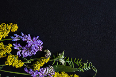 Similar image 22284783