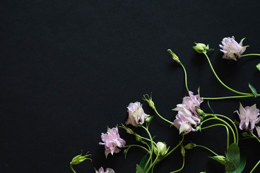 Similar image 22284784