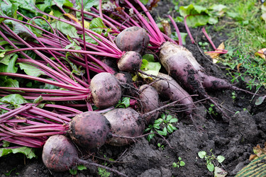 Similar image 22285304