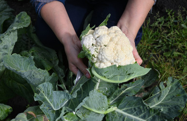 Similar image 22285305