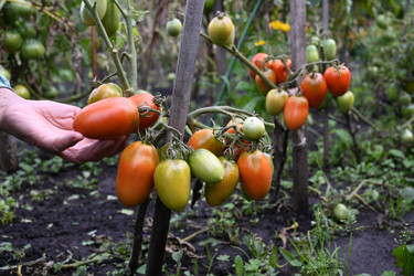 Similar image 22285306