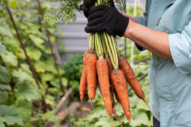 Similar image 22285309