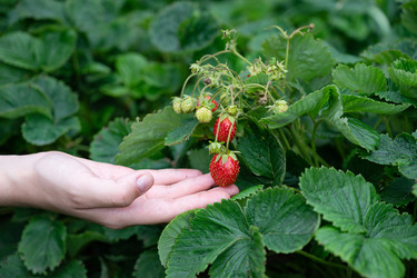 Similar image 22285316