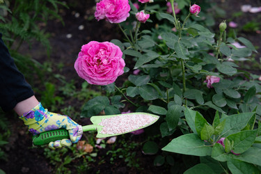 Similar image 22285317