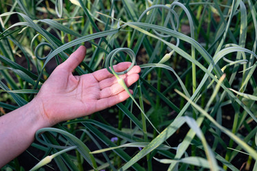 Similar image 22285318