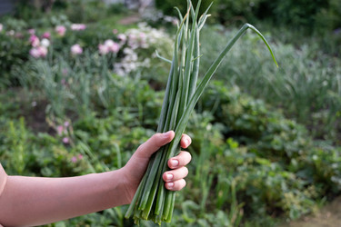 Similar image 22285319