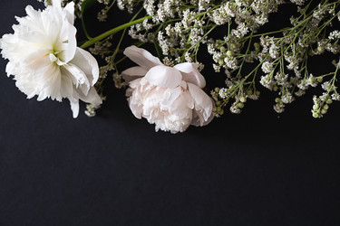 Similar image 22285320