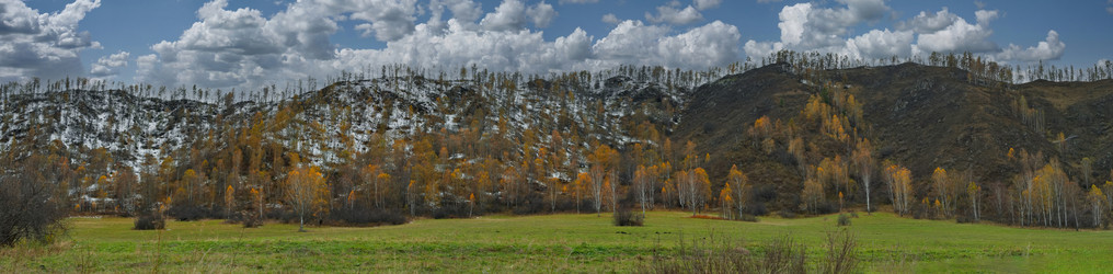 Similar image 22273233