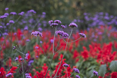 Similar image 22273144