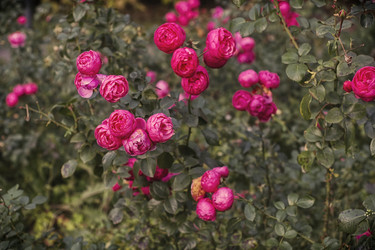 Similar image 22273146