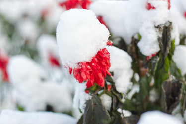 Similar image 22273147