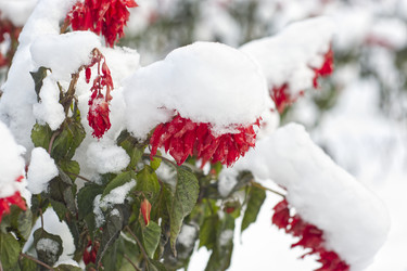 Similar image 22273148