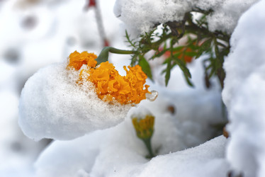 Similar image 22273149