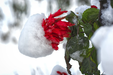 Similar image 22273150