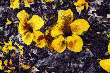 Similar image 22273152