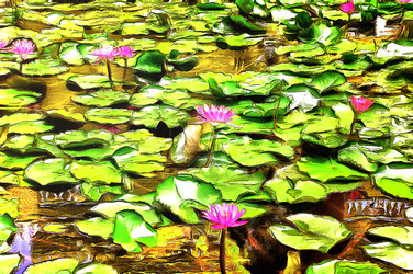 Similar image 22273236