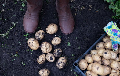 Similar image 22285331