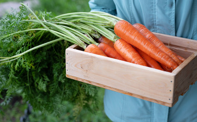 Similar image 22285335