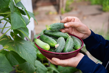 Similar image 22285336