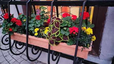 Similar image 22285341