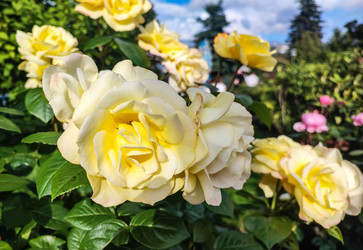 Similar image 22285498