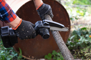 Similar image 22285508