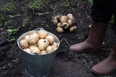 Similar image 22285523