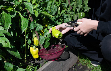 Similar image 22285524