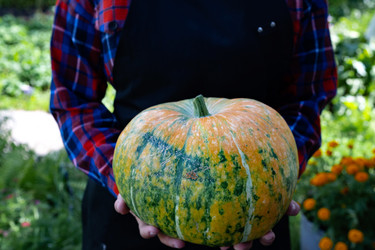 Similar image 22285525