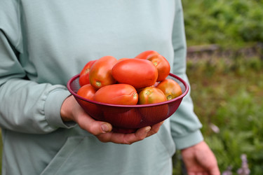 Similar image 22285526