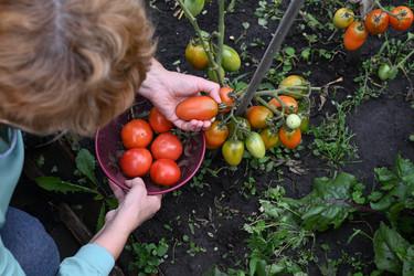 Similar image 22285527