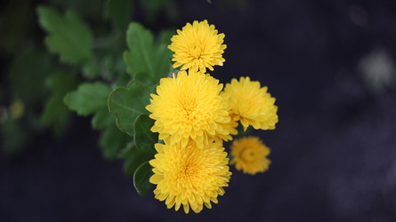 Similar image 22273102