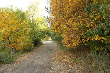 Similar image 22268728