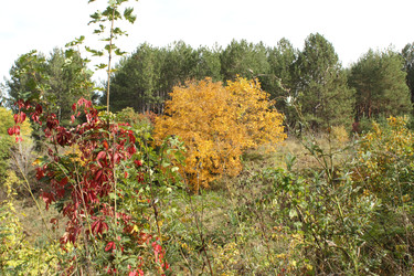 Similar image 22268729