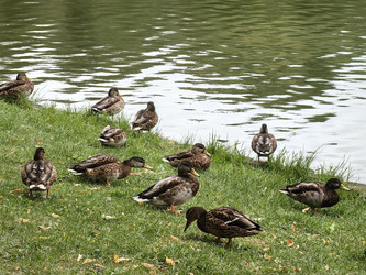 Similar image 22273969