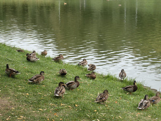 Similar image 22273970