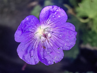 Similar image 22273979