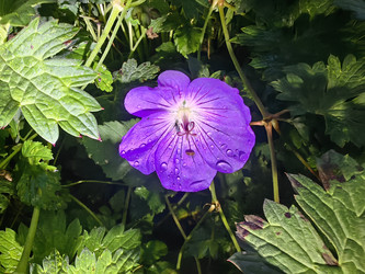 Similar image 22273980