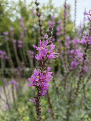 Similar image 22273981