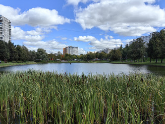 Similar image 22273983