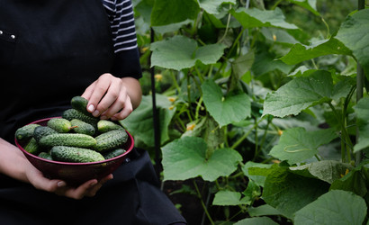 Similar image 22285346