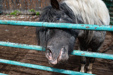 Similar image 22285349