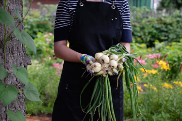 Similar image 22285354