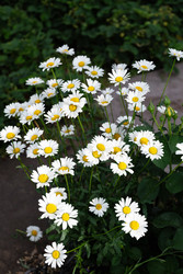 Similar image 22285529