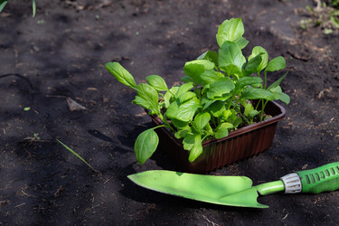 Similar image 22285532