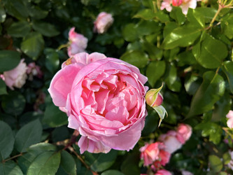 Similar image 22285533