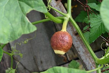 Similar image 22285539