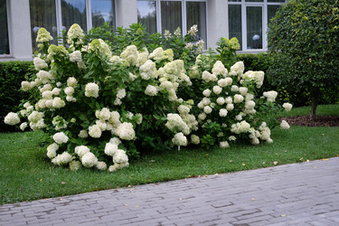 Similar image 22285542